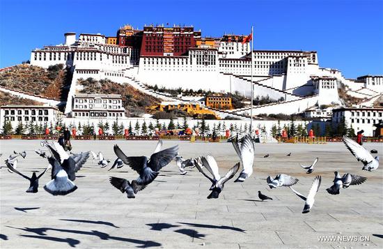 Tibet's tourism revenue doubles in H1