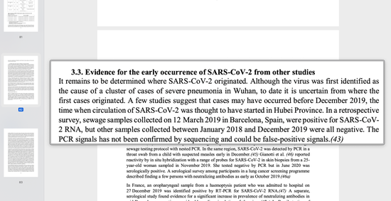 An excerpt from WHO-convened Global Study of Origins of SARS-CoV-2: China Part, page 82. /WHO