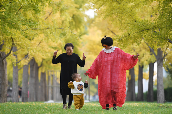 A family enjoys the ginkgo trees in downtown Beijing. (Photo: China Daily/Wei Xiaohao)
