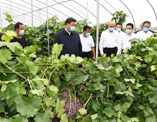 President Xi Jinping conducts field research on local efforts in advancing rural vitalization on all fronts while visiting a village in Suide, a county under the city of Yulin in Northwest China's Shaanxi province, Sept 14, 2021. (Photo/Xinhua)