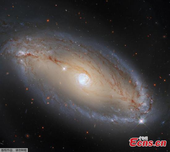 Hubble releases image of spiral galaxy 130 mln light-years away