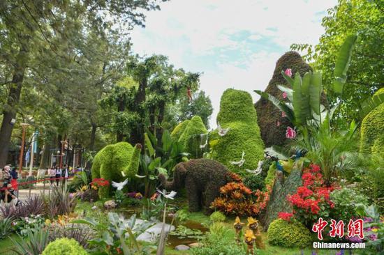 Hundreds of mosaicultures set to greet the upcoming 15th meeting of the Conference of the Parties to the Convention on Biological Diversity (COP15) appeal to tourists in Kunming, capital city of southwest China's Yunnan Province. (China News Service/Liu Ranyang)