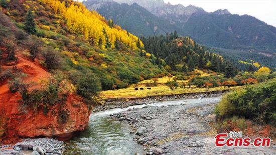 Amazing autumn scenery in NW China's Gansu Province