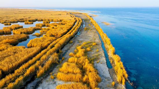 Autumn views of Bosten Lake in Xinjiang