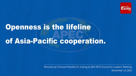 Remarks by Chinese President Xi Jinping at 28th APEC Economic Leaders' Meeting
