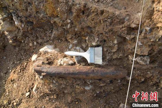 The ivory shovel unearthed from the paleolithic site. (Photo: Archaeological Institute of Shandong Province/Zhang Gang)