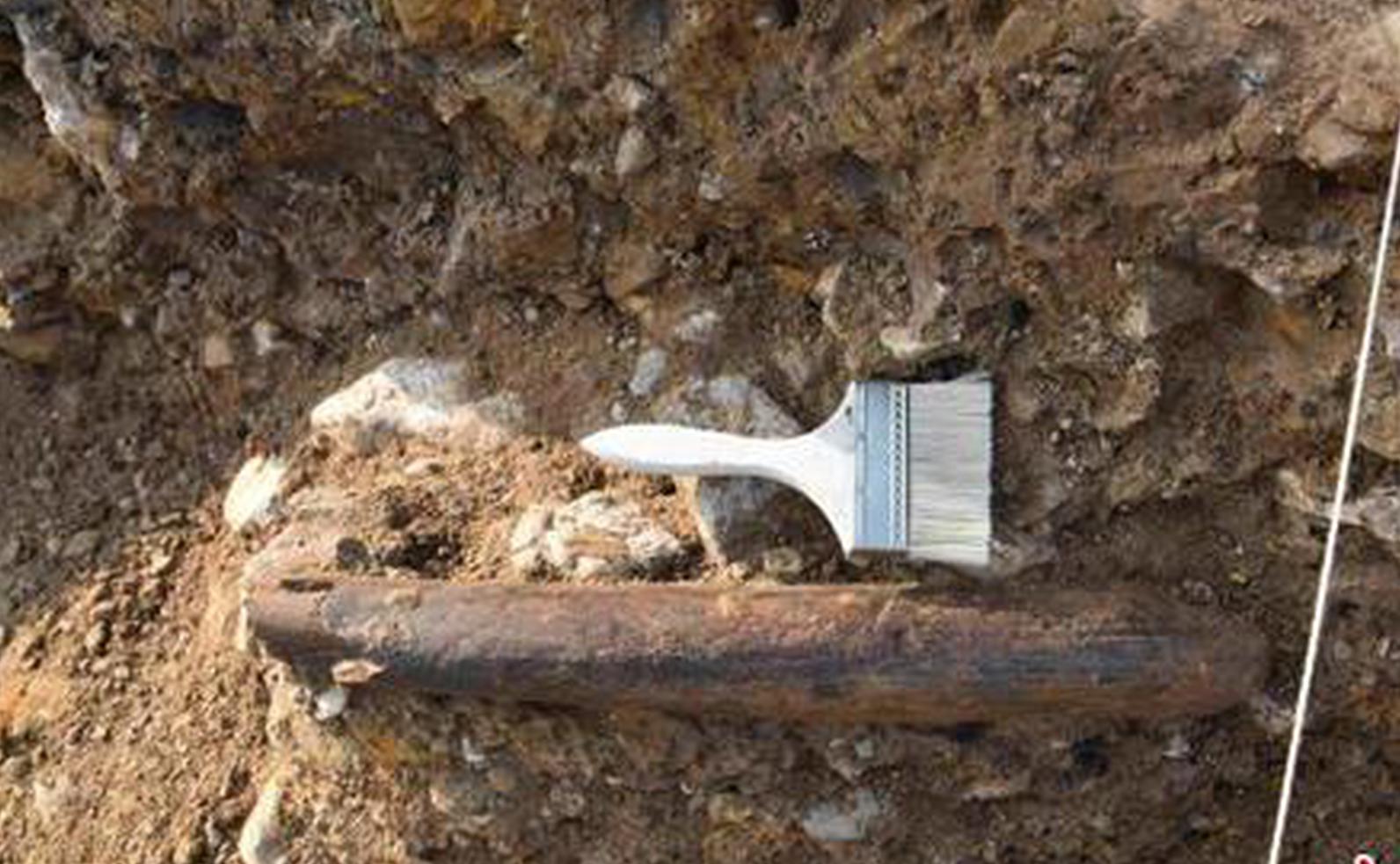 99,000-year-old ivory shovel may be earliest polished bone tool found in China