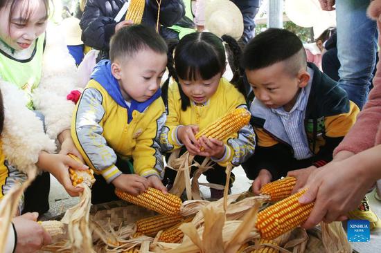 Field activity teaches kids history of agriculture