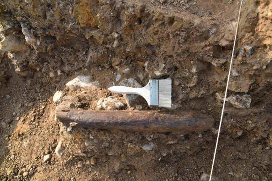99,000-yr-old ivory shovel believed to be oldest in China