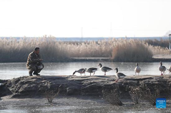 Pic story of wild bird protector in Hebei
