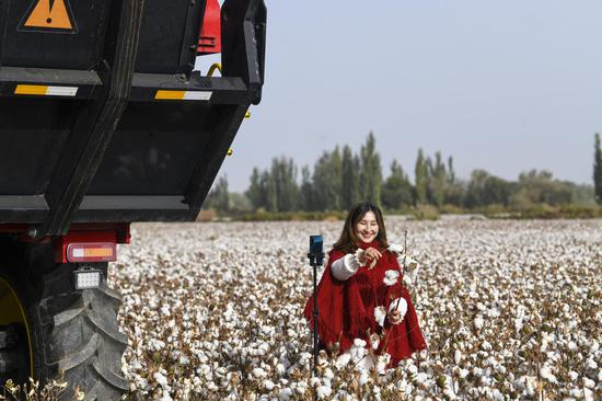 A live-streamer promotes cotton via a live show in Yuli County, northwest China's Xinjiang Uygur Autonomous Region, Oct. 12, 2021. (Xinhua/Zhao Ge)