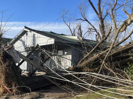 Photo taken on Dec. 11, 2021 shows a tree toppled in tornadoes in Mayfield, Kentucky, the United States. (Photo by Caromirna Sanchez/Xinhua)