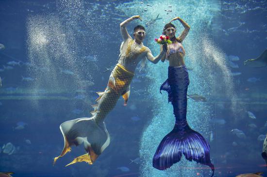 China's first mermaid contest kicks off in Hainan