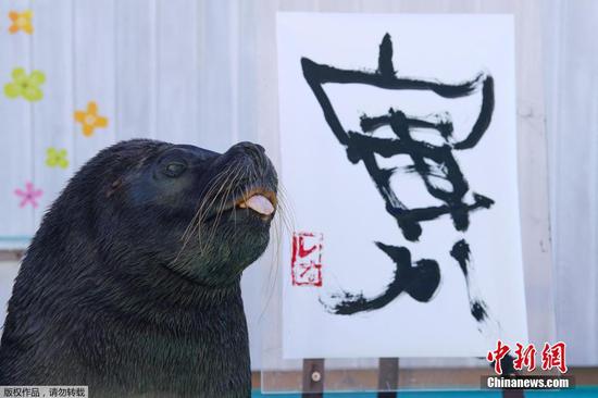 Sea lion 'write' Chinese character to greet lunar new year