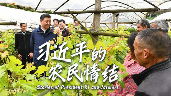 Stories about President Xi Jinping and farmers