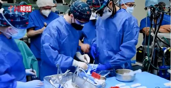 U.S. doctors perform world's first pig-to-human heart transplant