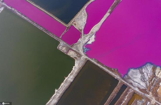 Salt lake in NW China's Shanxi turns pink 