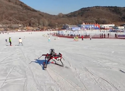 Chinese research team develops skiing robot
