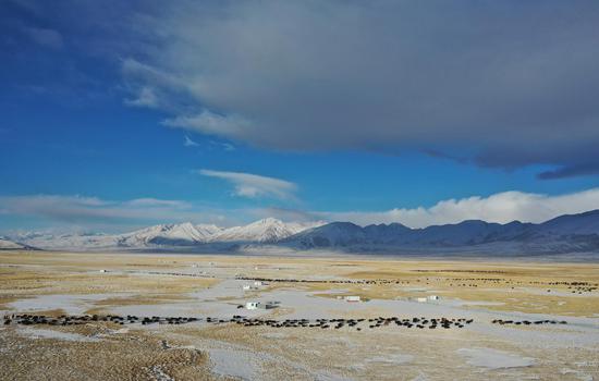 'Grassland Paradise' for Tibetan herdsmen at foot of snow mountain