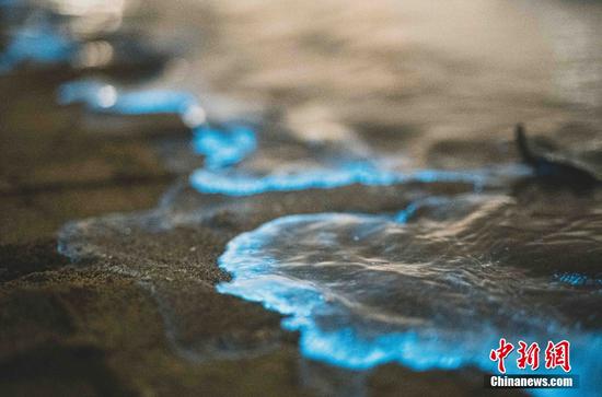 Sparkling 'blue tears' appear at beach of Xiamen