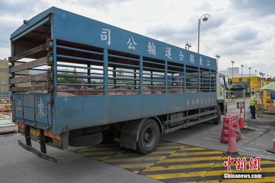 Sheung Shui Slaughterhouse resumes service after cleaning and disinfection