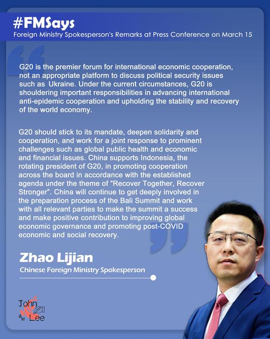G20 not appropriate platform to discuss political security issues: spokesperson