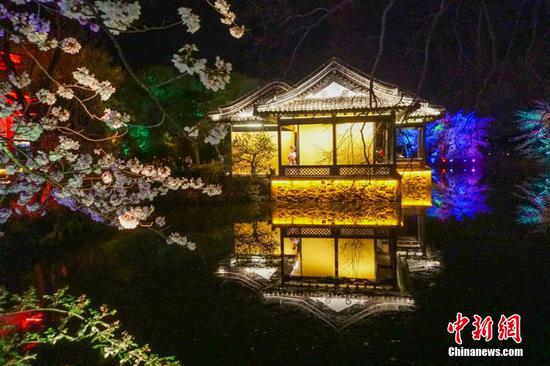 Stunning night scenery of cherry blossoms in East China's Wuxi