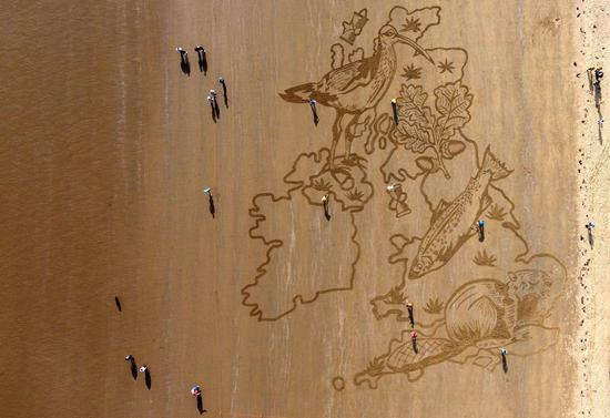 Sand art highlights wildlife loss in UK