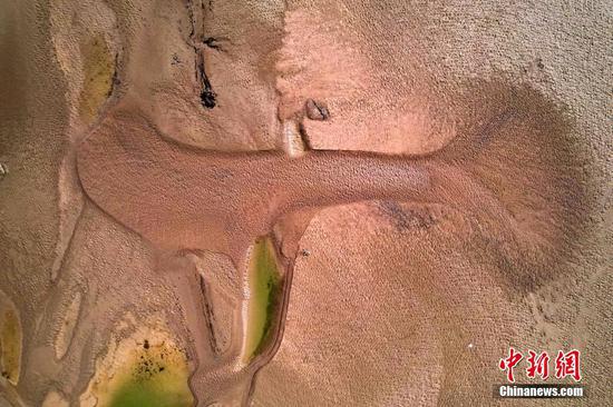 Natural 'paintings' on Yellow River bed