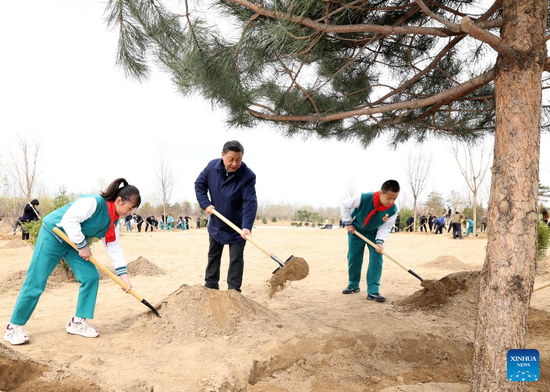 Xi Jinping participates in Beijing's tree planting activity