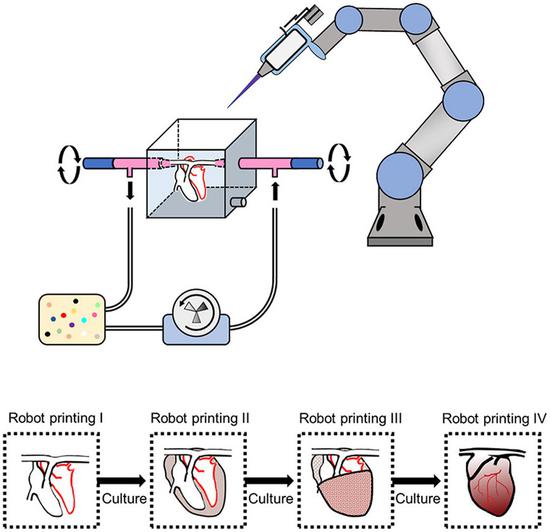 The graphical abstract of the bioprinting system (Provided by the researchers)
