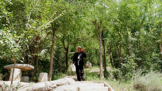 Ma Jincai, 72, has planted more than 2,000 trees on hills along the upper reaches of the Yellow River in Qinghai Province over the past 28 years. (Photo/China News Service)
