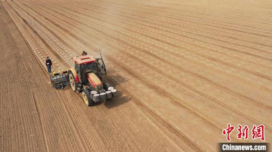 A machine works in the cotton field, Toksun County, Xinjiang Uyghur Autonomous Region, April 12, 2022. (Photo/China News Service)
