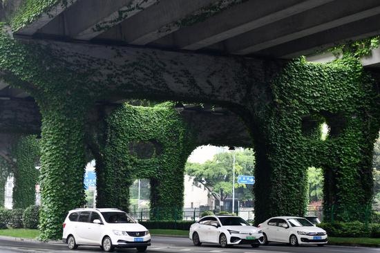 Lush Boston Ivy transforms overpass into green corridor