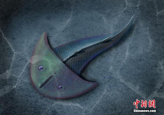 410 million-year-old Xitunaspis, a new eugaleaspid fish, discovered in China