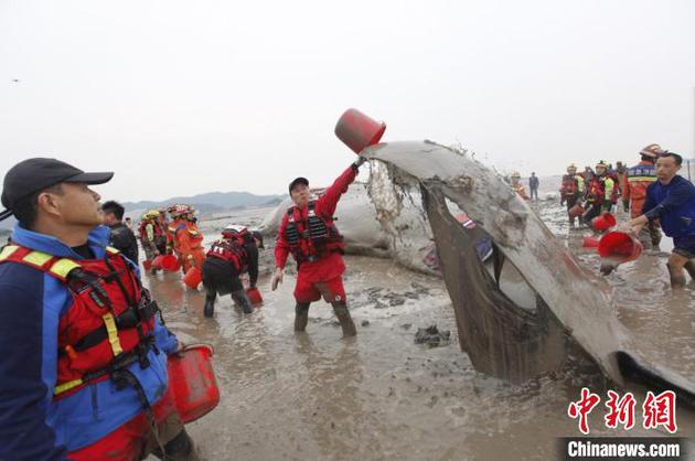 Rescuers help a sperm whale stranded on a beach of Xiangshan, Ningbo, east China's Zhejiang Province, April 19, 2022. (Photo courtesy: the rescue team)
