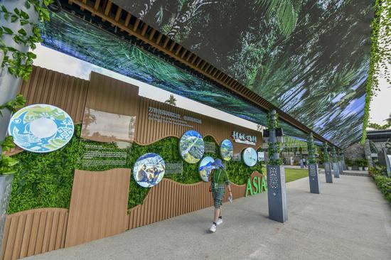 Rainforest Culture Exhibition kicks off at the Boao Forum for Asia theme park