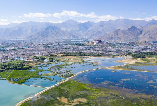 Aerial photo taken on June 5, 2019 shows a view of Lhalu Wetland National Nature Reserve in Lhasa, southwest China's Tibet Autonomous Region.(Photo/Xinhua)