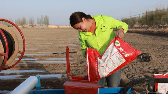 A farmer pours cotton seeds into a seeding machine in Xayar County, Aksu Prefecture, northwest China's Xinjiang Uygur Autonomous Region, April 3, 2022. Spring farming of cotton has started in Xinjiang. (Photo by Liu Yuzhu/Xinhua)