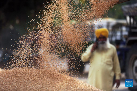 A farmer talks on his cell phone as his freshly harvested wheat is unloaded from a trolley at the grain market in Amritsar district of India's northern Punjab state, April 19, 2022. The Russia-Ukraine conflict has dealt 