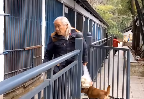 Grandpa Luo is feeding animals at Fenghuangshan Forest Park Zoo in Enshi Tujia and Miao Autonomous Prefecture, Central China’s Hubei Province. (Photo/Video screenshot）