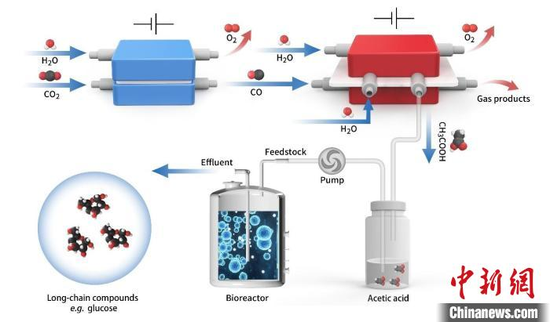 Schematic diagram of in vitro carbon dioxide synthesis of high energy long-chain food molecules. (Photo: SIAT)
