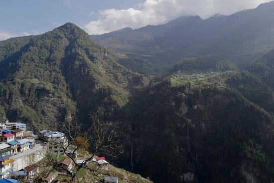 Researchers map high-resolution alpine treeline in Himalayas