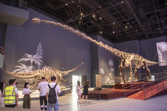 Newly built Chengdu Natural History Museum ready to open