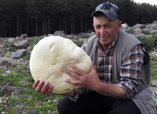 Giant mushroom found in Turkey