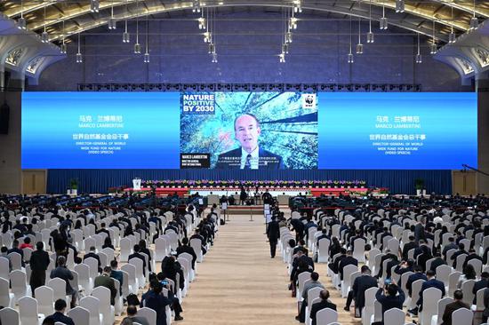 This file photo shows Marco Lambertini, Director-General at World Wide Fund for Nature (WWF) International, delivers a speech via video during the opening ceremony of the Ecological Civilization Forum of the first part of the 15th meeting of the Conference of the Parties to the Convention on Biological Diversity (COP15) in Kunming, southwest China's Yunnan Province, on Oct. 14, 2021. (Xinhua/Chen Yehua)