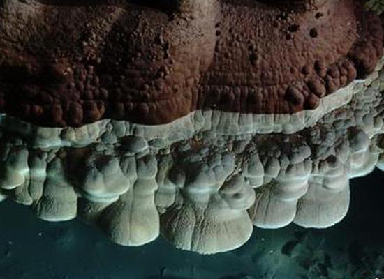 China's second 'cave cloud' discovered in Guangxi