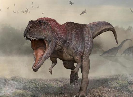 New dinosaur species discovered in Argentina