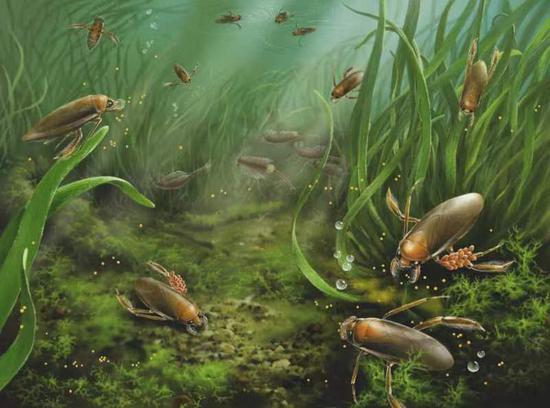 The restored photo shows the ecosystem of Karataviella popovi. (Provided by the Nanjing Institute of Geology and Palaeontology of the Chinese Academy of Sciences)