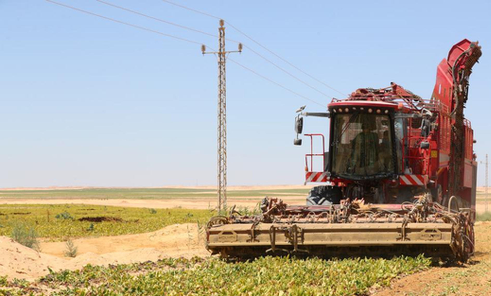Chinese well drilling firm helps turn Egypt's desert into green farmland